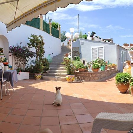 B&B Villa Cristina 阿纳卡普里 外观 照片