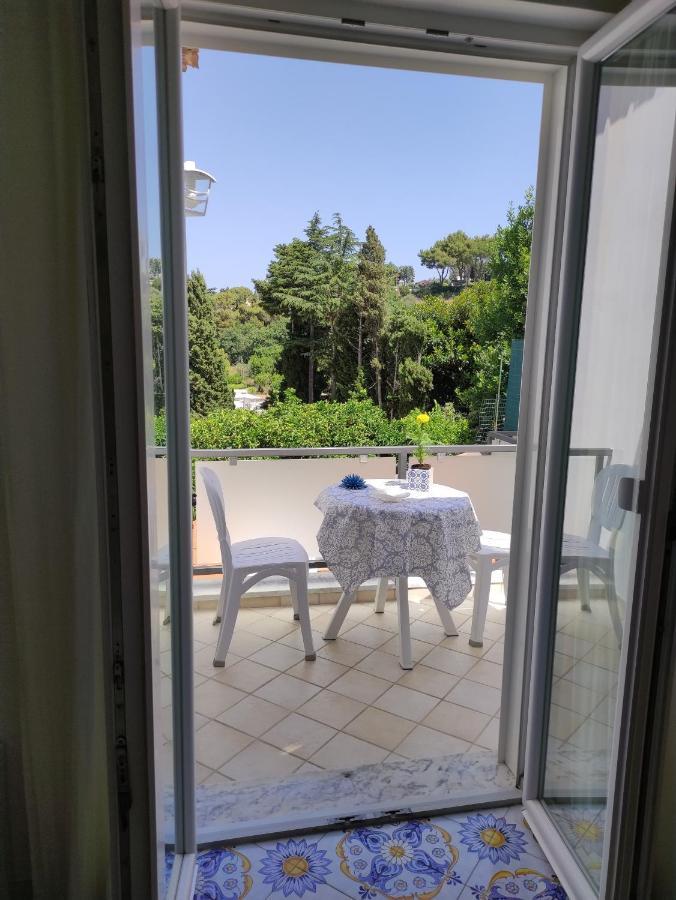 B&B Villa Cristina 阿纳卡普里 外观 照片