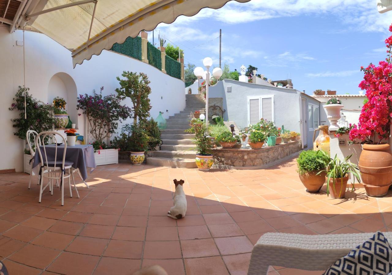 B&B Villa Cristina 阿纳卡普里 外观 照片