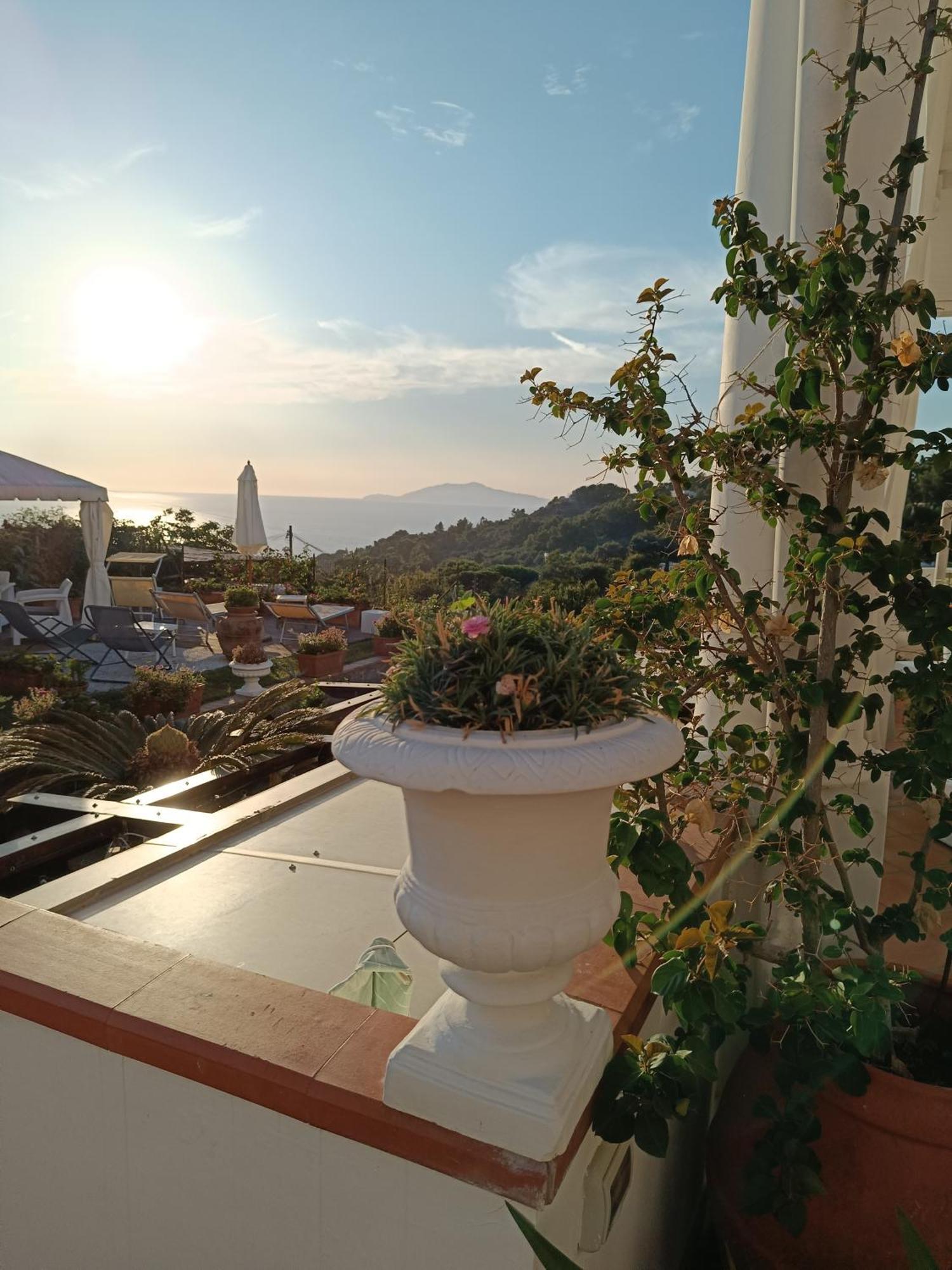 B&B Villa Cristina 阿纳卡普里 外观 照片