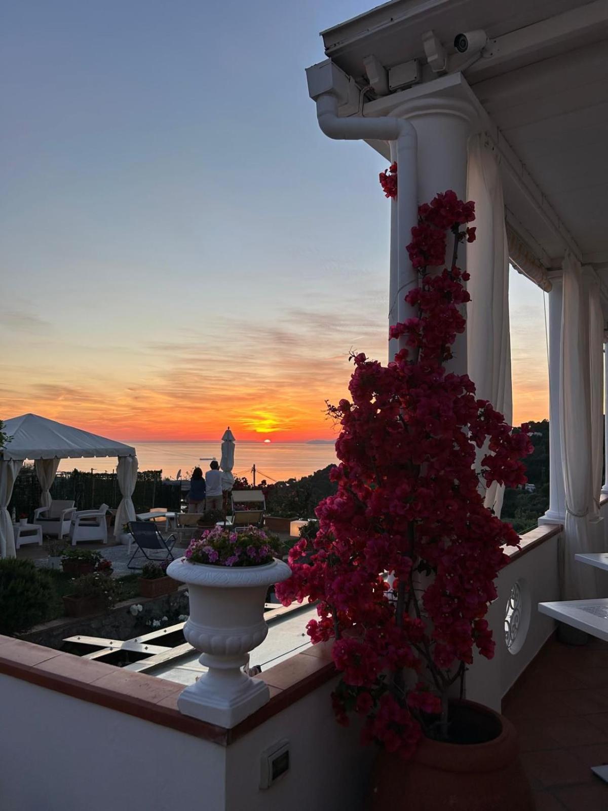 B&B Villa Cristina 阿纳卡普里 外观 照片